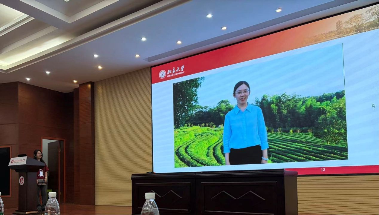 赌博app