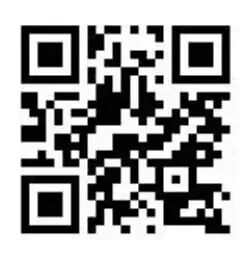 赌博app