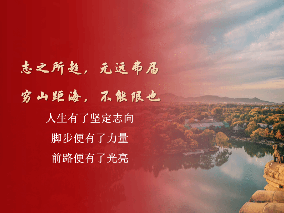 赌博app