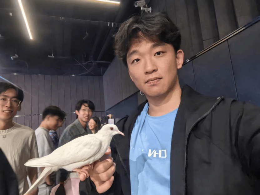 赌博app