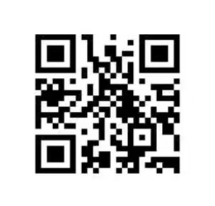 赌博app