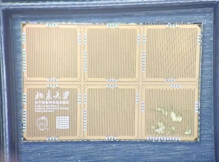 赌博app