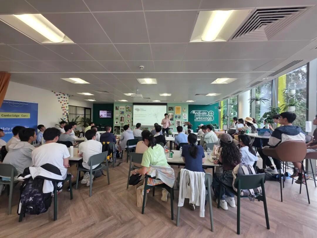 赌博app
