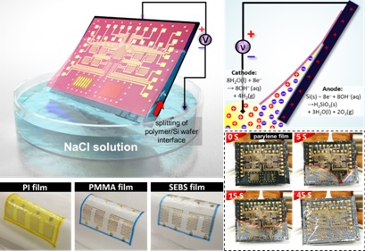20181015信息学院胡又凡研究员-彭练矛教授课题组在超薄柔性电子器件研究中取得重要进展.jpg 20181015信息学院胡又凡研究员-彭练矛教授课题组在超薄柔性电子器件研究中取得重要进展.jpg